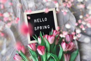 Hello Spring on letter board with pink spring tulips